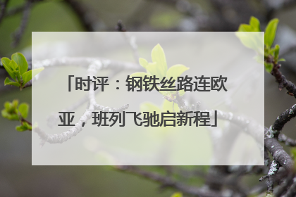 时评：钢铁丝路连欧亚，班列飞驰启新程