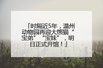 时隔近5年，温州动物园再迎大熊猫“宝弟”“宝妹”，明日正式开馆！