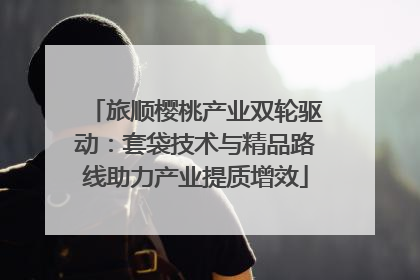 旅顺樱桃产业双轮驱动：套袋技术与精品路线助力产业提质增效