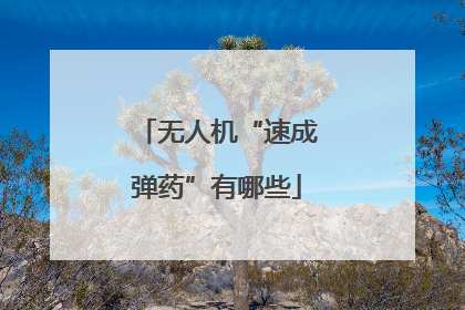 无人机“速成弹药”有哪些