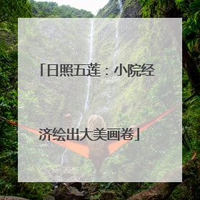 日照五莲：小院经济绘出大美画卷