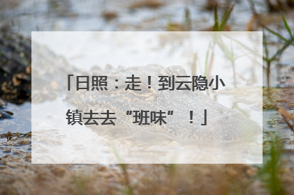日照：走！到云隐小镇去去“班味”！