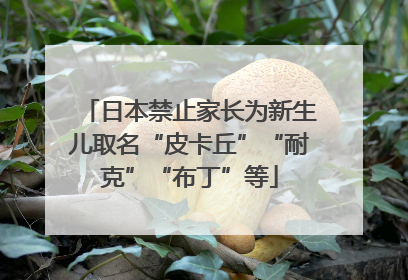 日本禁止家长为新生儿取名“皮卡丘”“耐克”“布丁”等