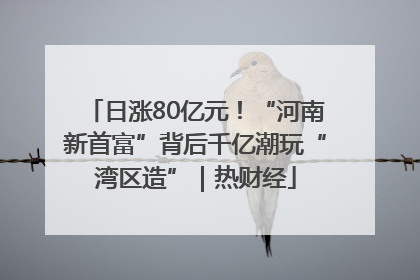 日涨80亿元！“河南新首富”背后千亿潮玩“湾区造”｜热财经