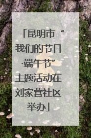 昆明市“我们的节日·端午节”主题活动在刘家营社区举办