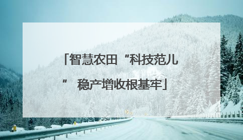 智慧农田“科技范儿” 稳产增收根基牢