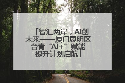 智汇两岸，AI创未来——厦门思明区台青“AI+”赋能提升计划启航
