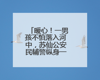 暖心！一男孩不慎落入河中，苏仙公安民辅警纵身一跃硬核救人