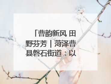 曹韵新风 田野芬芳｜菏泽曹县磐石街道：以歌为媒 唱响乡土“新歌声”
