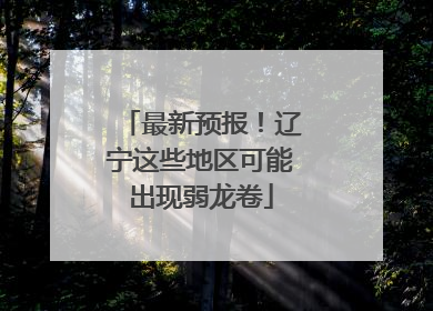 最新预报！辽宁这些地区可能出现弱龙卷