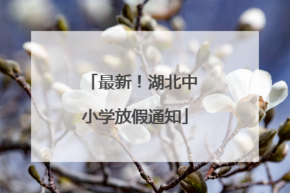 最新！湖北中小学放假通知
