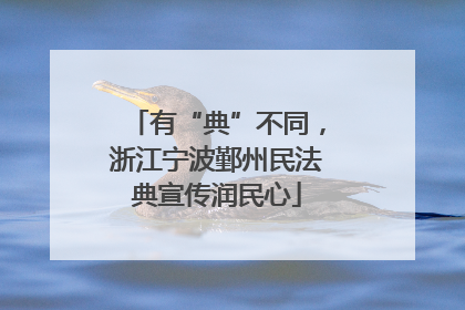 有“典”不同，浙江宁波鄞州民法典宣传润民心