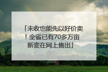 未收也能先以好价卖！全省已有70多万亩新麦在网上售出