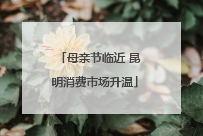 母亲节临近 昆明消费市场升温