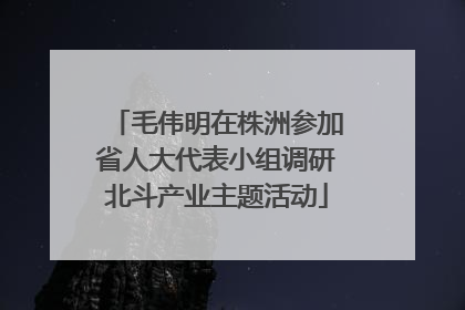 毛伟明在株洲参加省人大代表小组调研北斗产业主题活动