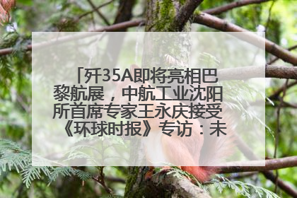 歼35A即将亮相巴黎航展，中航工业沈阳所首席专家王永庆接受《环球时报》专访：未来数量可以有很多