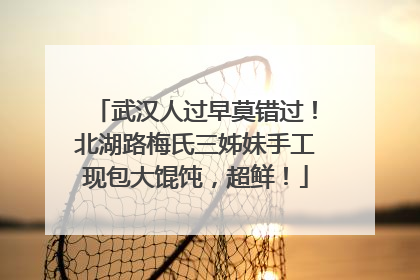 武汉人过早莫错过！北湖路梅氏三姊妹手工现包大馄饨，超鲜！