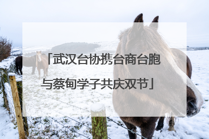 武汉台协携台商台胞与蔡甸学子共庆双节