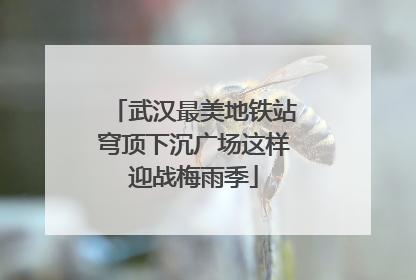 武汉最美地铁站穹顶下沉广场这样迎战梅雨季