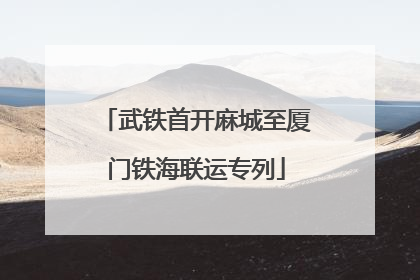 武铁首开麻城至厦门铁海联运专列