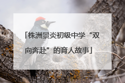 株洲景炎初级中学“双向奔赴”的育人故事