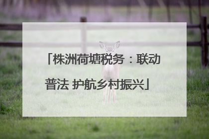 株洲荷塘税务：联动普法 护航乡村振兴