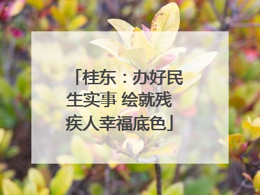 桂东：办好民生实事 绘就残疾人幸福底色