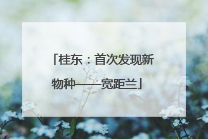 桂东：首次发现新物种——宽距兰