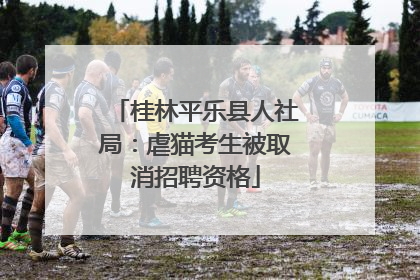 桂林平乐县人社局：虐猫考生被取消招聘资格