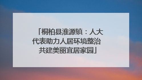 桐柏县淮源镇：人大代表助力人居环境整治 共建美丽宜居家园