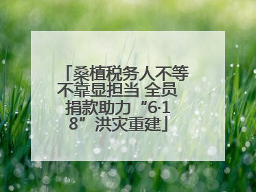桑植税务人不等不靠显担当 全员捐款助力“6·18”洪灾重建