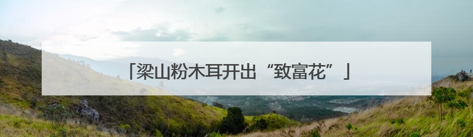梁山粉木耳开出“致富花”