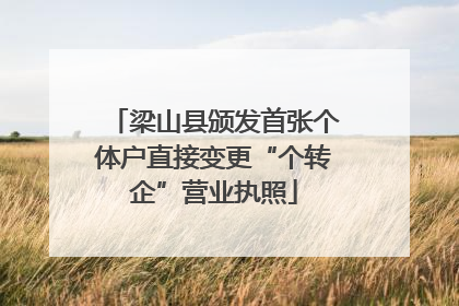 梁山县颁发首张个体户直接变更“个转企”营业执照