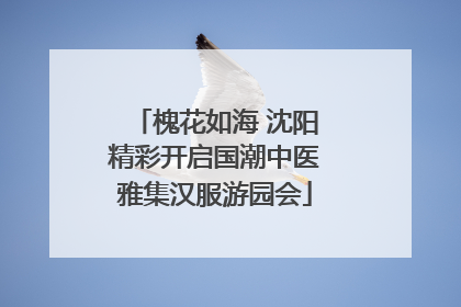 槐花如海 沈阳精彩开启国潮中医雅集汉服游园会
