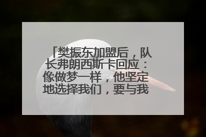 樊振东加盟后，队长弗朗西斯卡回应：像做梦一样，他坚定地选择我们，要与我们一起夺冠