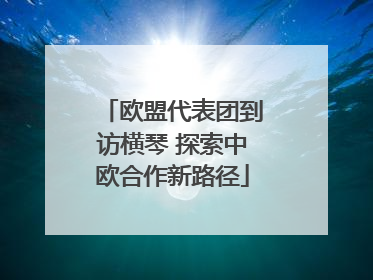 欧盟代表团到访横琴 探索中欧合作新路径
