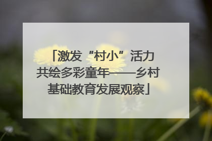 激发“村小”活力 共绘多彩童年——乡村基础教育发展观察