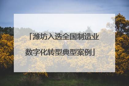 潍坊入选全国制造业数字化转型典型案例