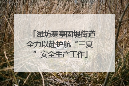 潍坊寒亭固堤街道全力以赴护航“三夏”安全生产工作