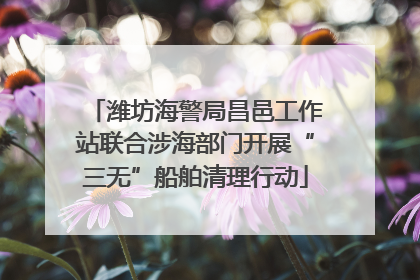 潍坊海警局昌邑工作站联合涉海部门开展“三无”船舶清理行动