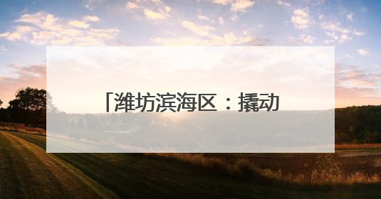 潍坊滨海区：撬动志愿服务力量 助力社会和谐发展