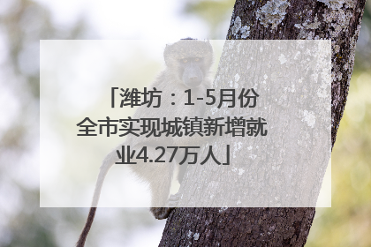 潍坊：1-5月份全市实现城镇新增就业4.27万人