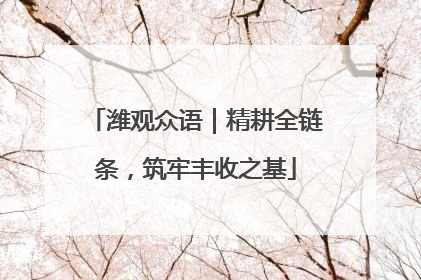 潍观众语｜精耕全链条，筑牢丰收之基