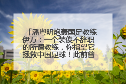 潘粤明炮轰国足教练伊万：一个装傻不辞职的所谓教练，你指望它拯救中国足球！此前曾多次发文评价国足