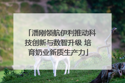 潘刚领航伊利推动科技创新与数智升级 培育奶业新质生产力