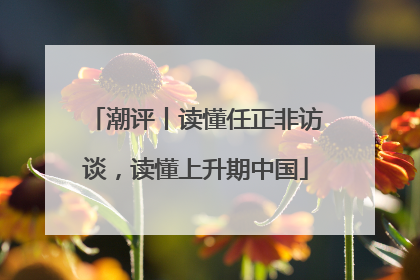 潮评丨读懂任正非访谈，读懂上升期中国