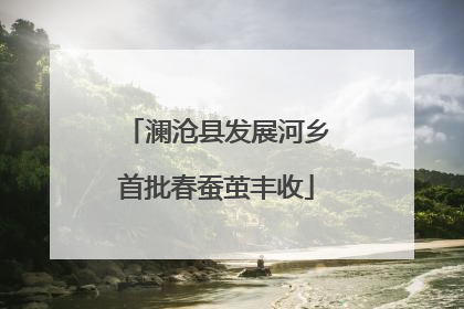 澜沧县发展河乡首批春蚕茧丰收