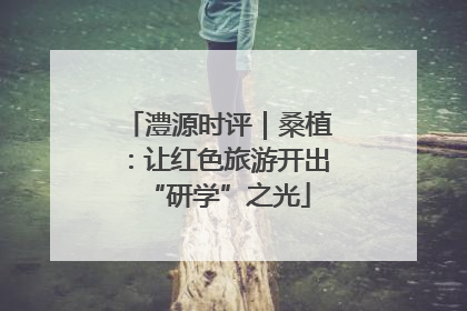 澧源时评｜桑植：让红色旅游开出“研学”之光