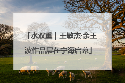 水双重｜王敏杰·余王波作品展在宁海启幕