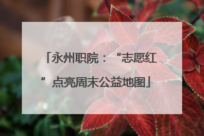 永州职院：“志愿红”点亮周末公益地图